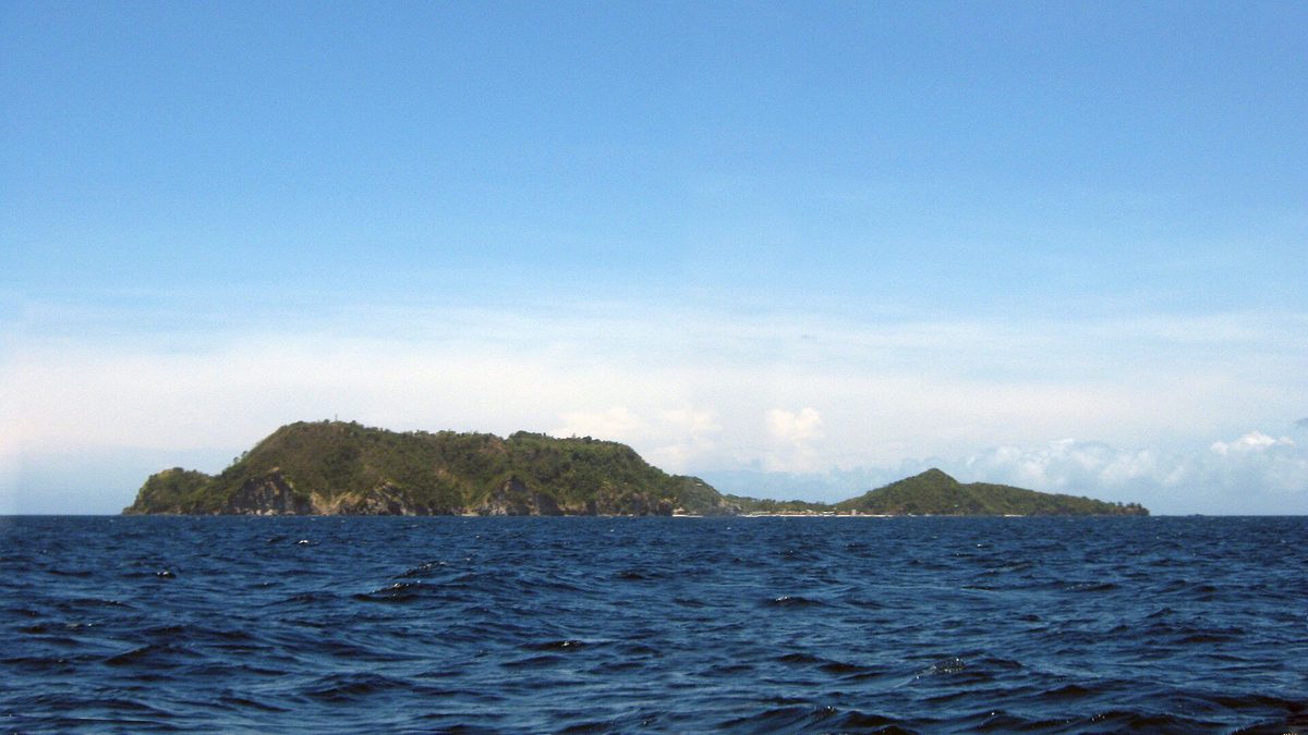 Healthy coral reef in the protected marine sanctuary at Apo Island, Negros Oriental