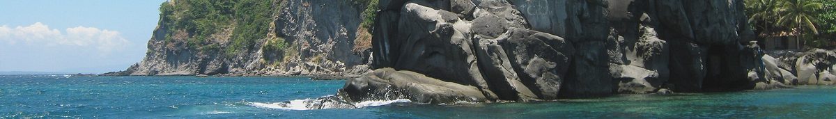 Green sea turtle in shallow water at Apo Island Philippines, the famous marine sanctuary near Dumaguete