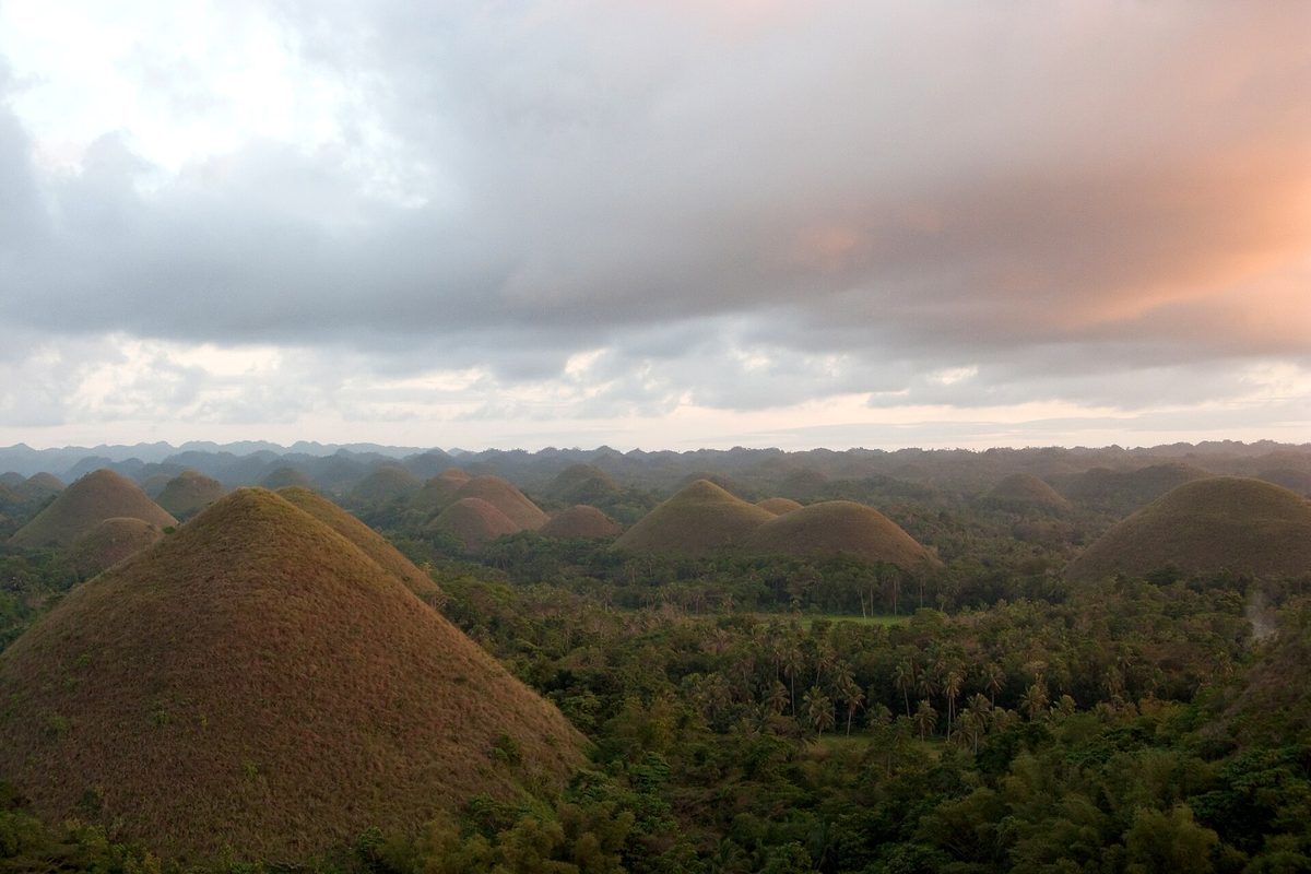 Chocolate Hills at sunset with hundreds of conical karst mounds in golden light