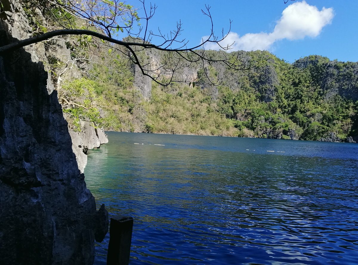 Barracuda Lake in Coron, a calm crater lake ringed by jagged limestone cliffs in Palawan, Philippines