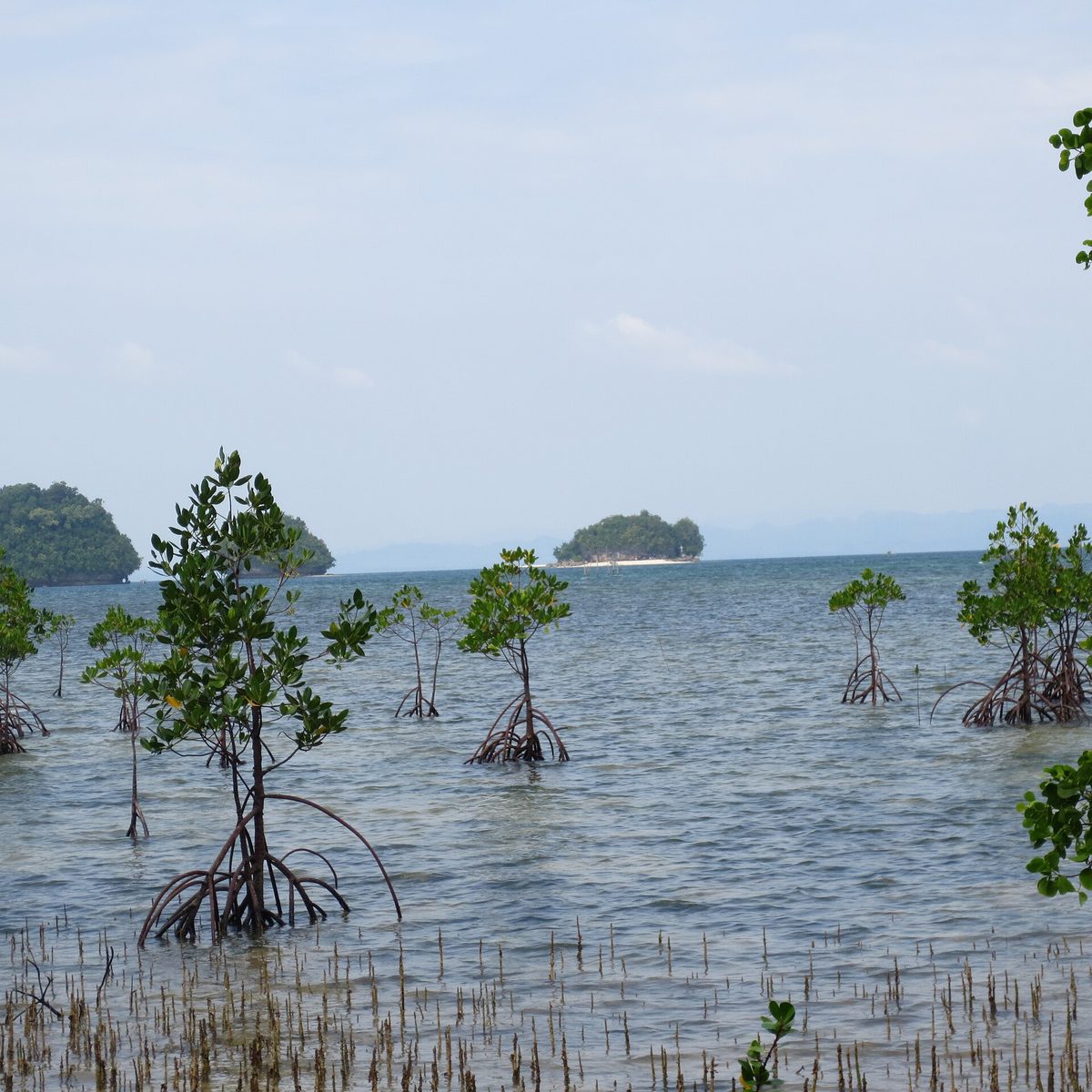 White sandbar at the Britania Islands in San Agustin, Surigao del Sur