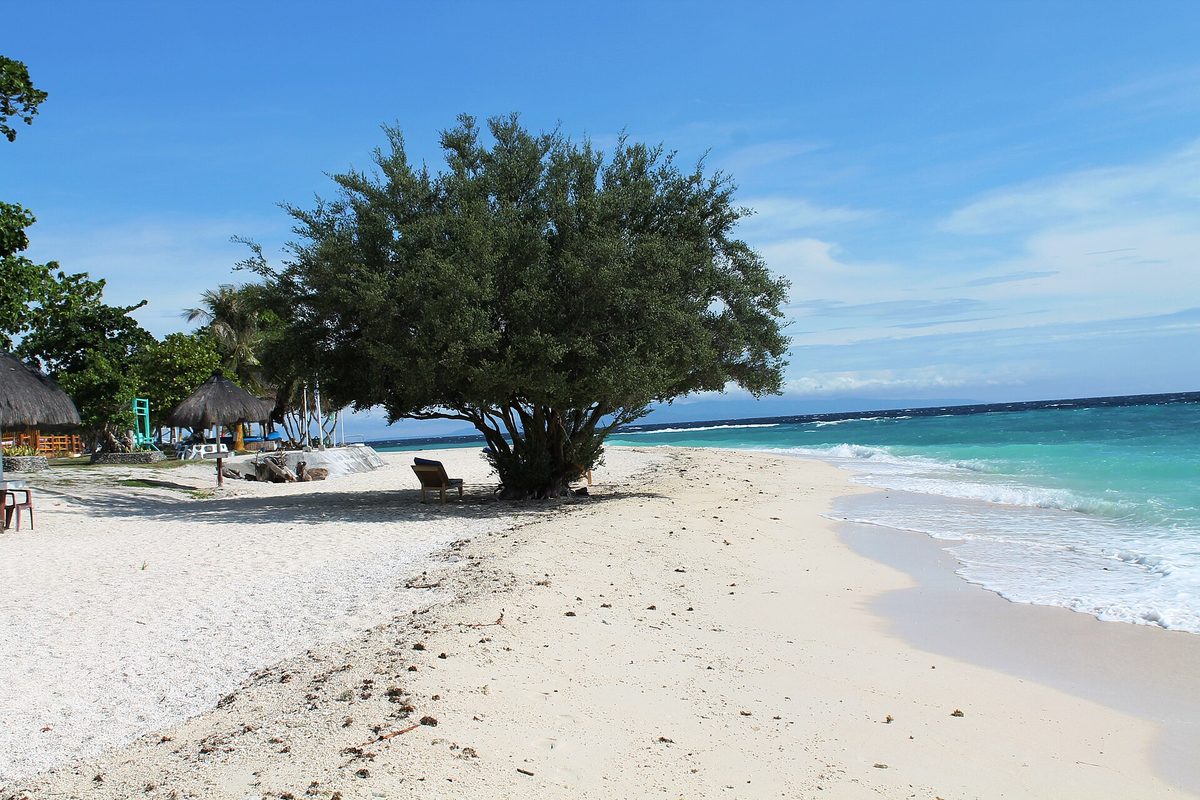 Clear water and reef off Balicasag Island near Panglao, Bohol, a top snorkeling stop