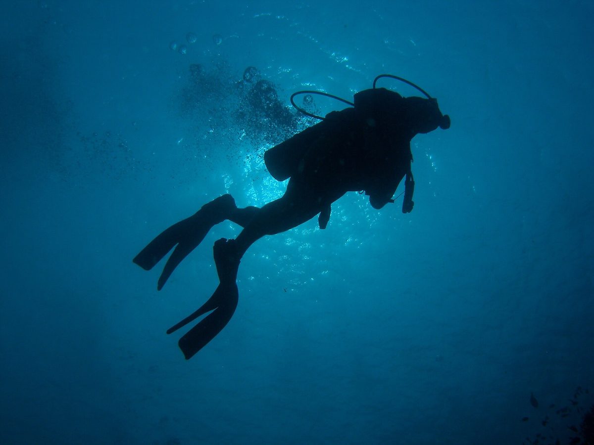 Scuba diver silhouetted underwater, certification required to dive with thresher sharks at Malapascua Island