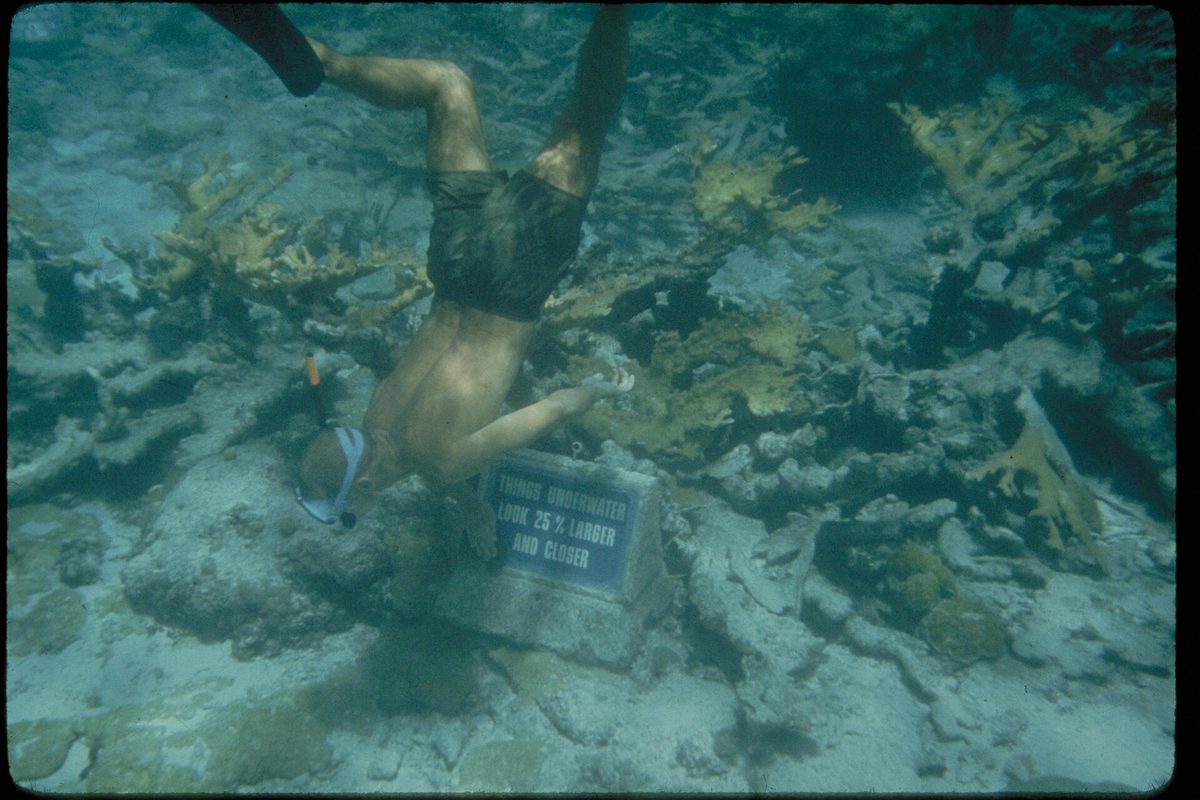 A scuba diver over a tropical reef in clear, calm water, the conditions that define the dry-season Amihan months