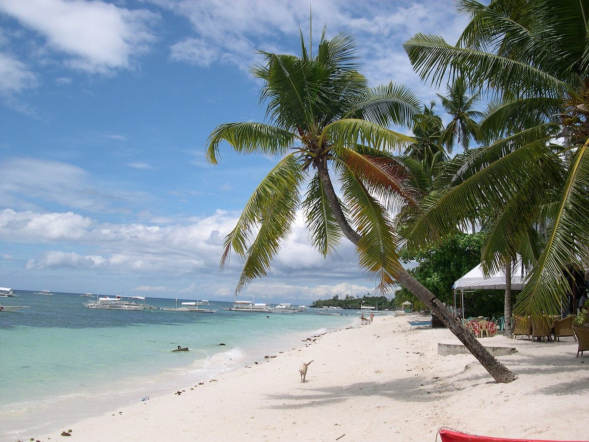 White-sand beach lined with palms on Panglao Island, Bohol