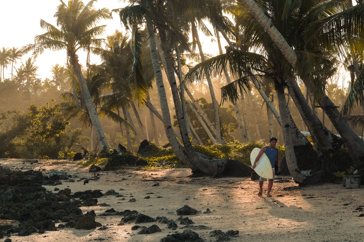 Coconut palm forest stretching to the horizon on Siargao Island