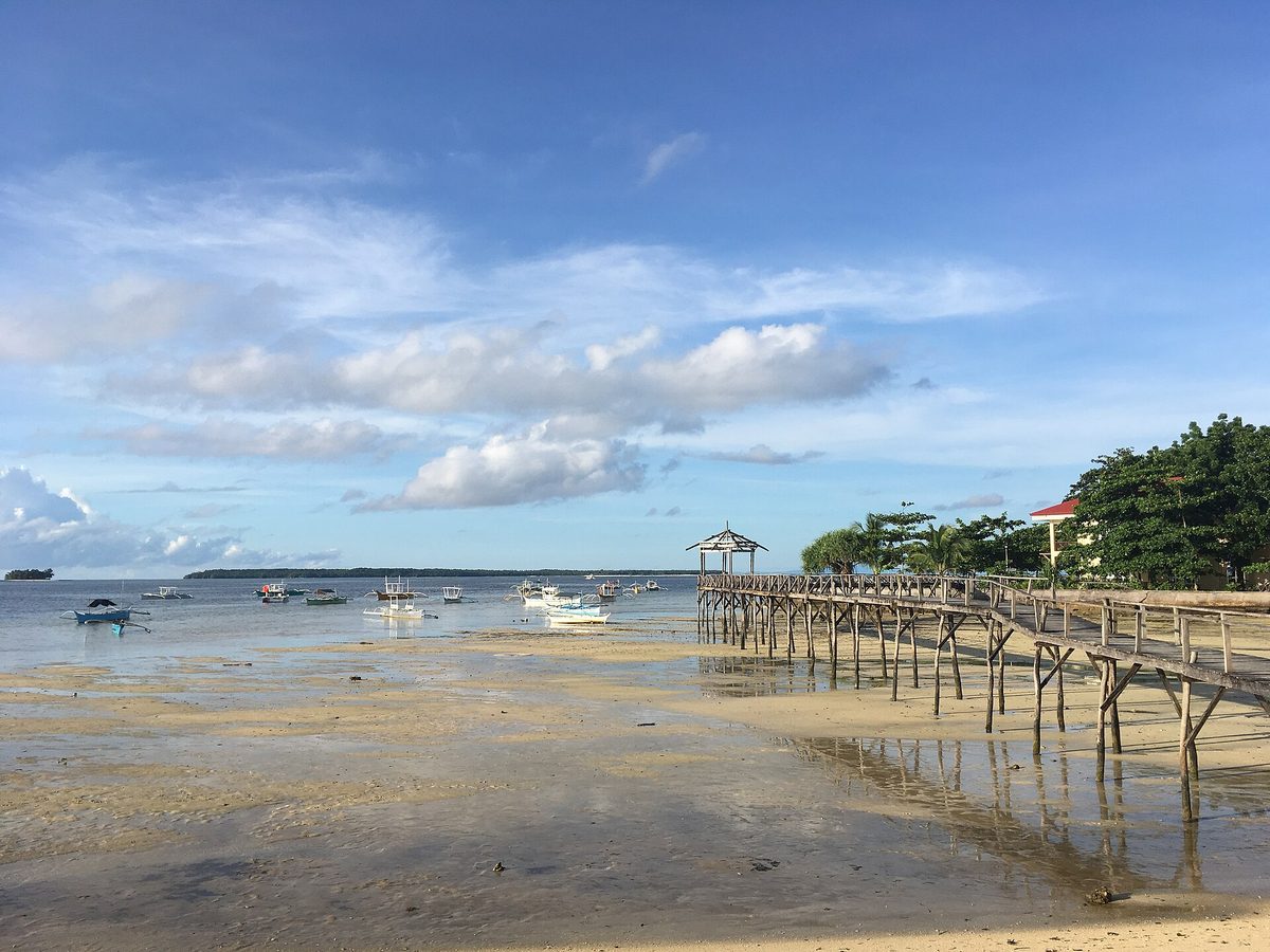 The beach and palm-lined coast at General Luna, the main hub of Siargao
