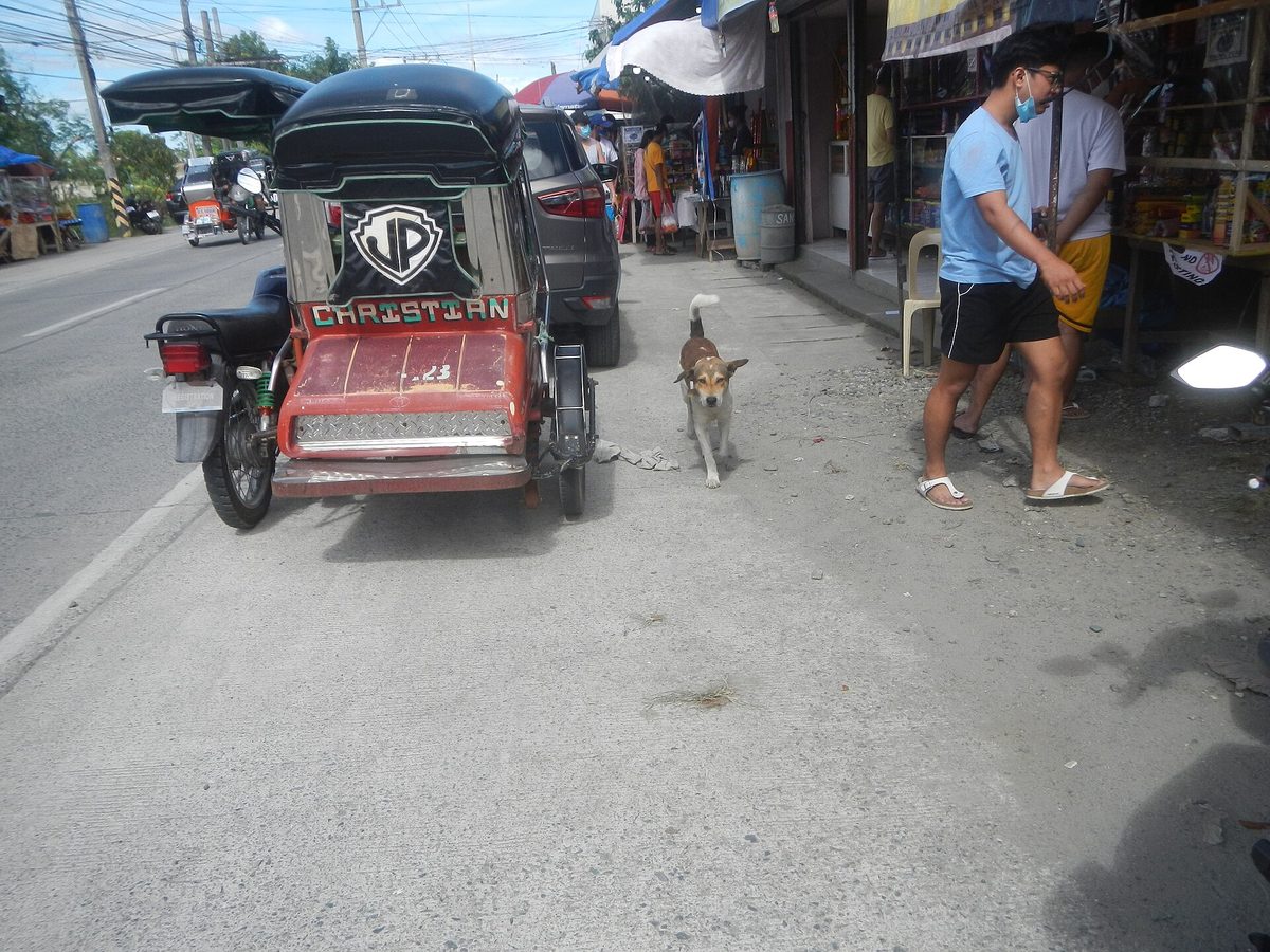 A motorized tricycle carrying passengers in a Philippine town