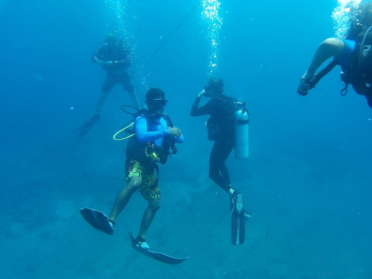 Hard coral reef wall in the Sulu Sea at Tubbataha Reef
