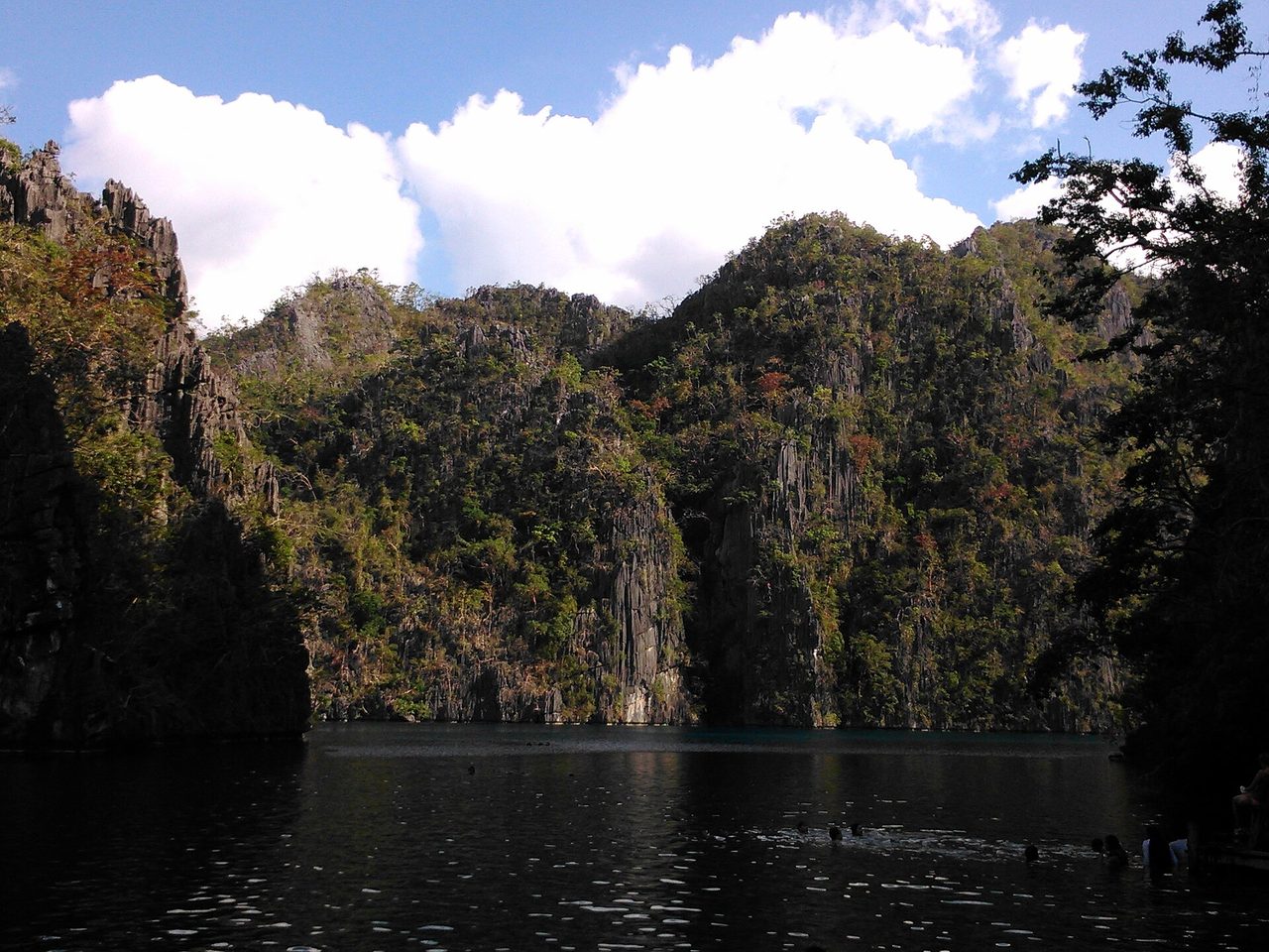 Limestone karst cliffs rising over a sheltered lagoon near Coron, northern Palawan